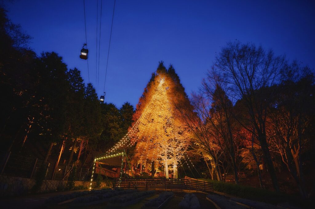 神戸布引ハーブ園｜森のクリスマスツリー