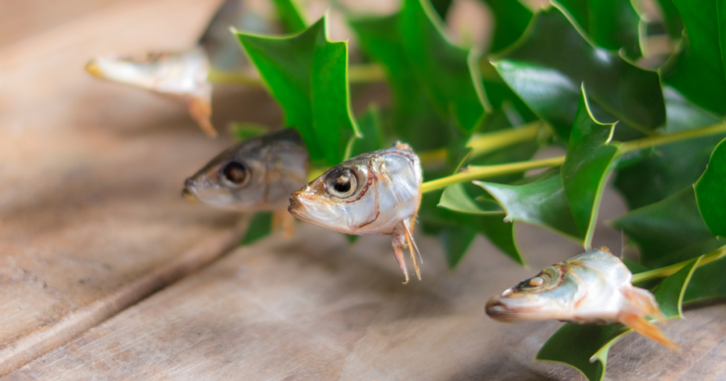 節分飾りはいつからいつまで飾る?玄関に柊いわしを飾る理由